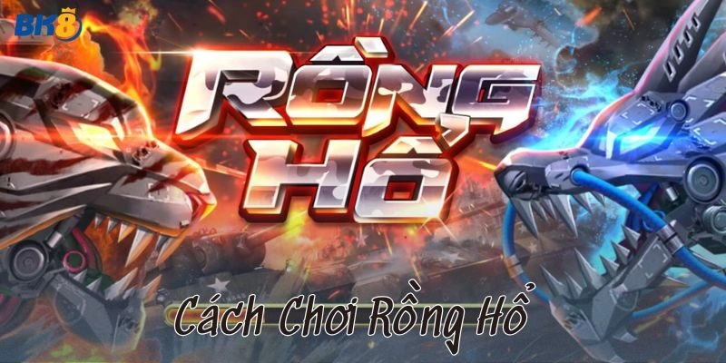 Khui ngay mẹo cách chơi rồng hổ chuẩn không chỉnh