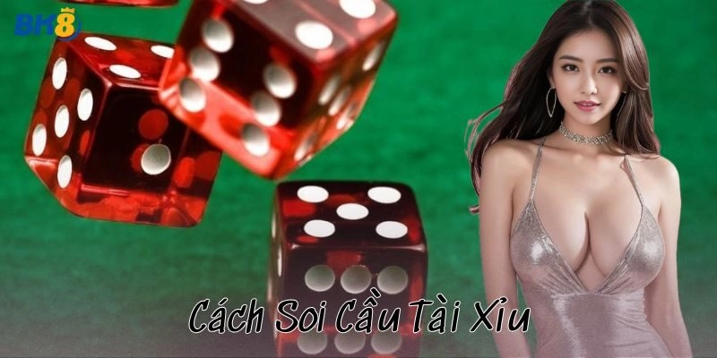 Khám phá cách soi cầu tài xỉu dành cho người mới